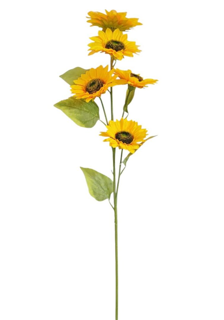 Image_20260415223631_813_90