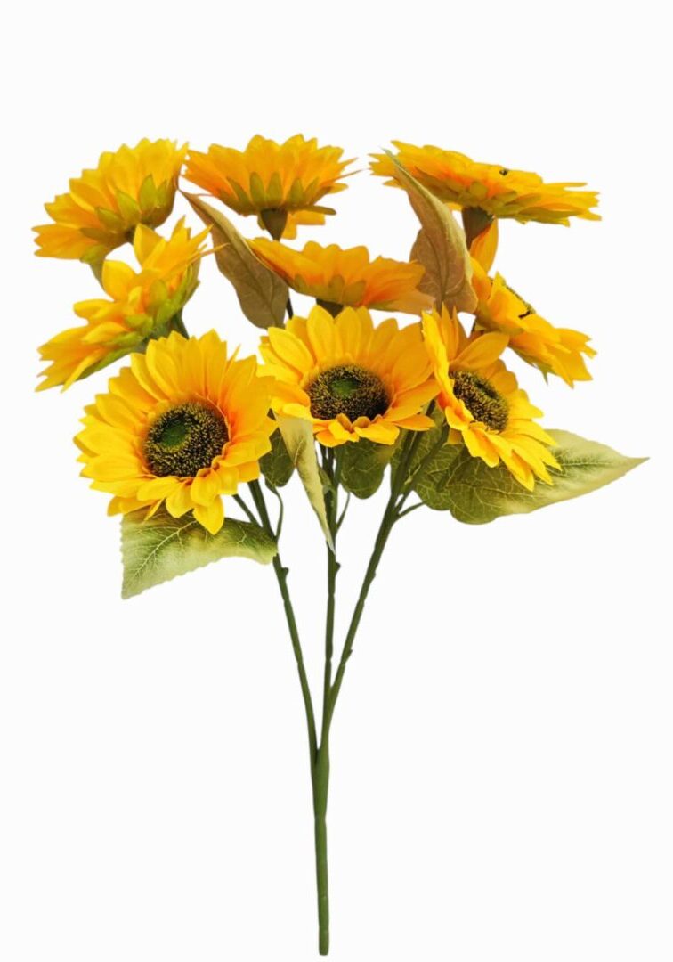 Image_20260415223634_817_90