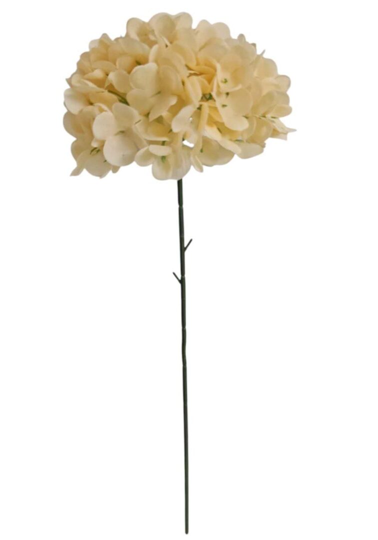 Image_20260416224715_847_90