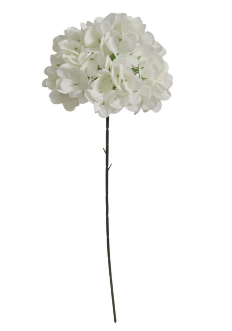 Image_20260416224717_850_90