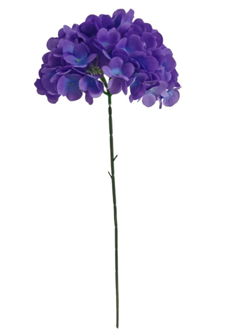 Image_20260416224719_852_90