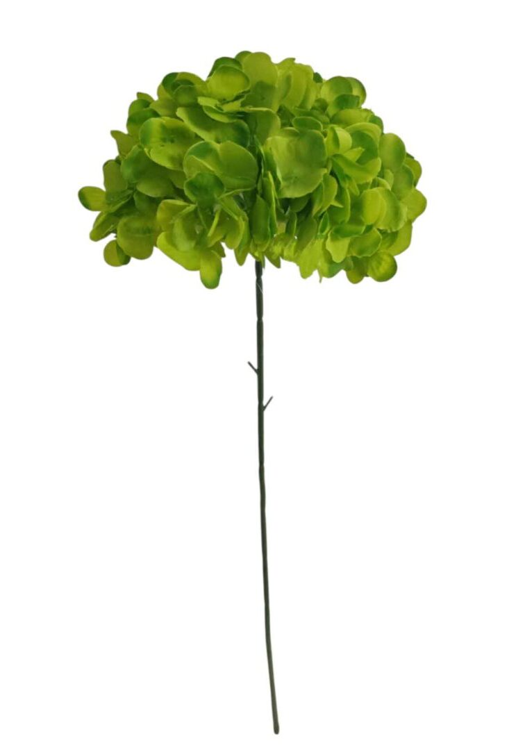 Image_20260416224720_853_90