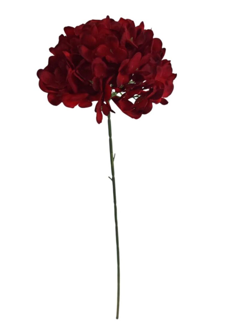 Image_20260416224722_855_90