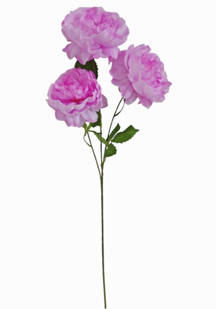 Image_20260419211257_861_90