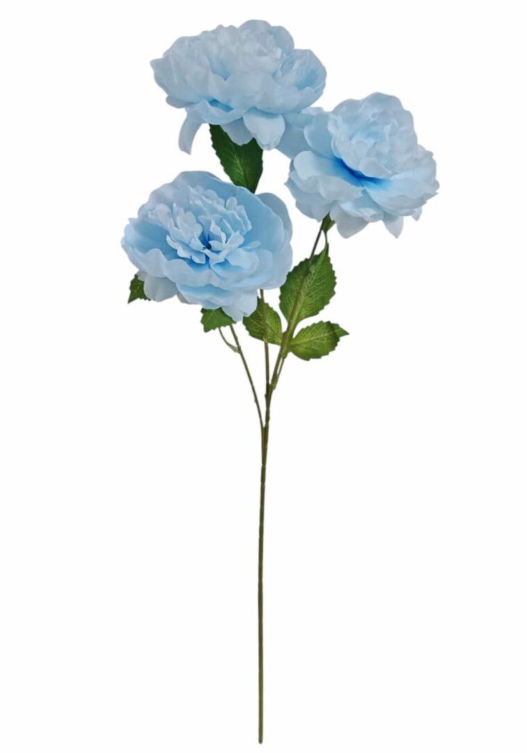 Image_20260419211258_862_90