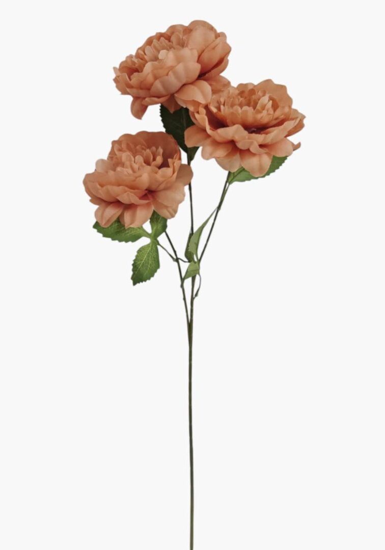 Image_20260419211259_863_90