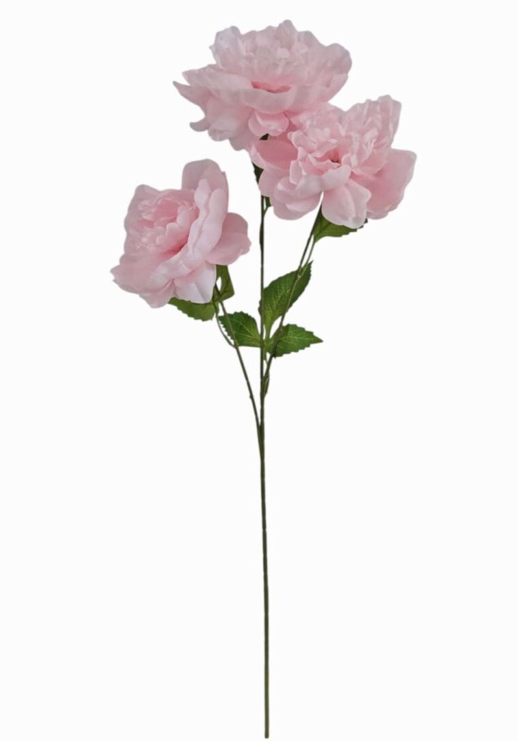 Image_20260419211300_864_90