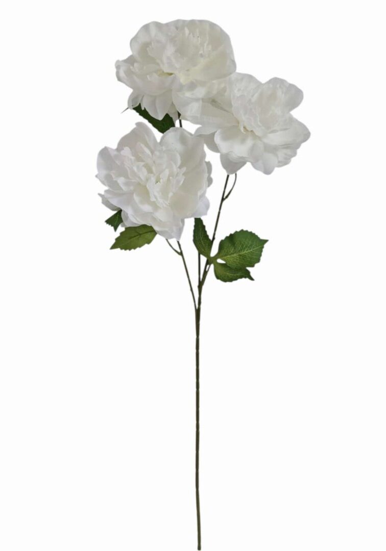 Image_20260419211300_865_90