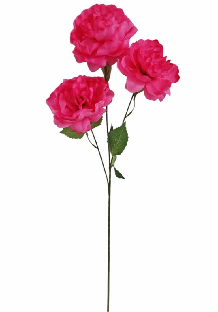 Image_20260419211301_866_90