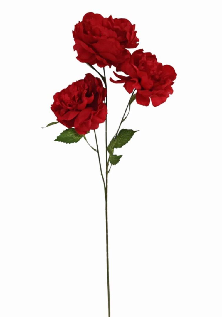 Image_20260419211302_867_90