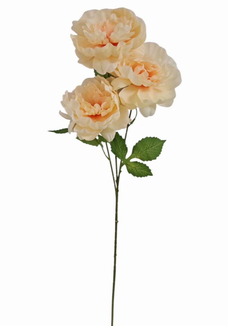 Image_20260419211303_868_90