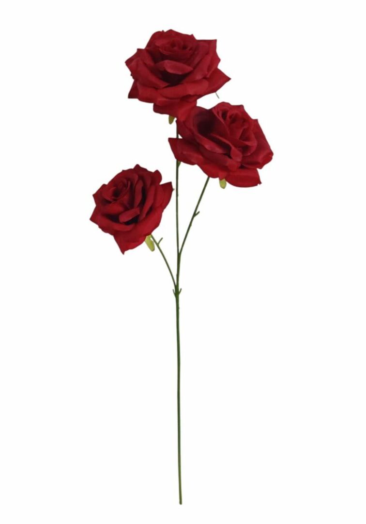 Image_20260420222940_869_90