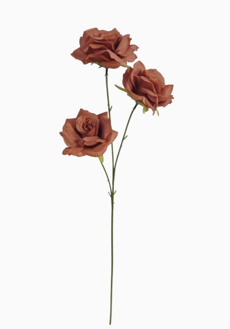 Image_20260420222941_870_90