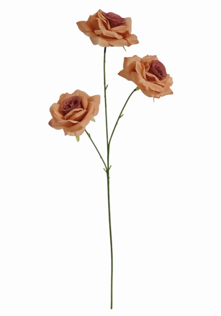 Image_20260420222941_871_90