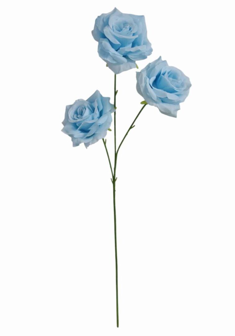 Image_20260420222942_872_90