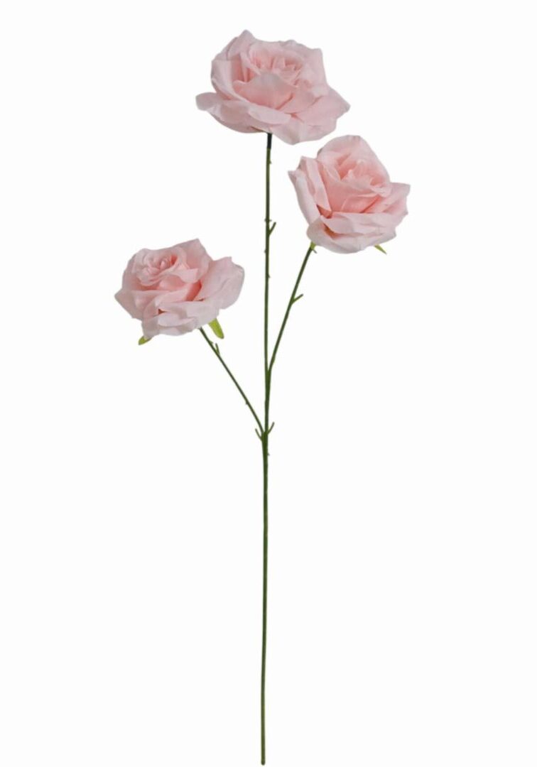 Image_20260420222943_873_90