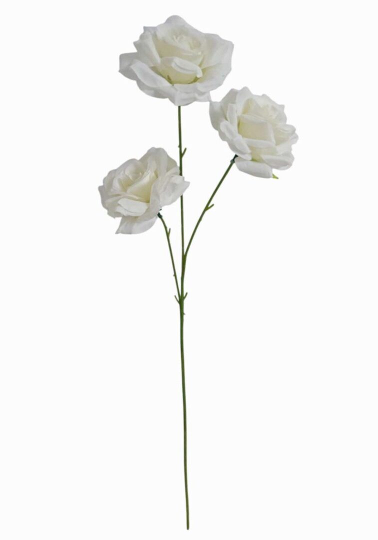 Image_20260420222944_875_90