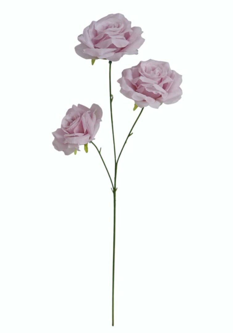 Image_20260420222945_876_90