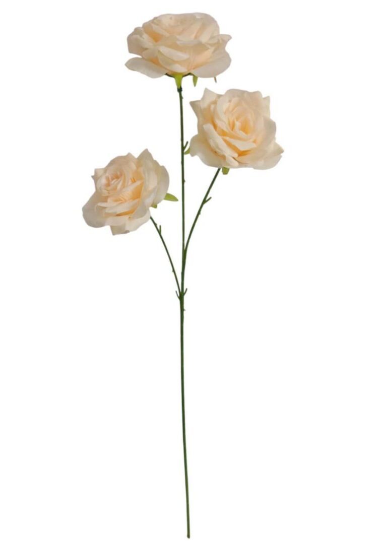 Image_20260420222945_877_90