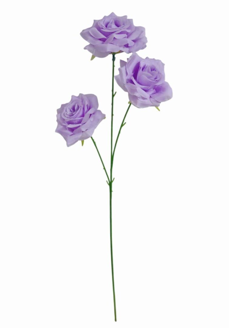 Image_20260420222946_878_90