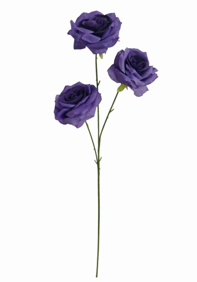 Image_20260420222947_879_90