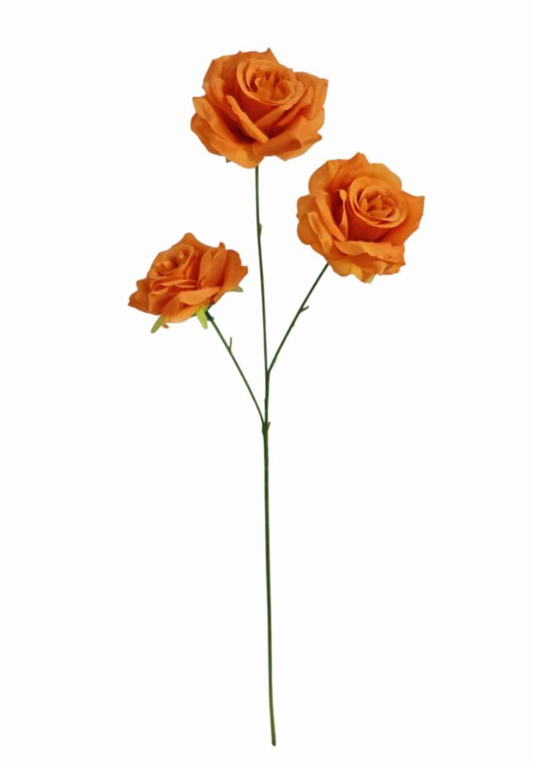 Image_20260420223041_880_90