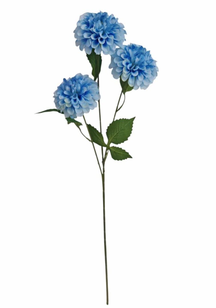 Image_20260420224614_881_90