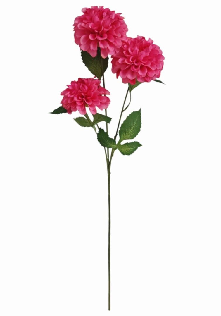 Image_20260420224615_882_90