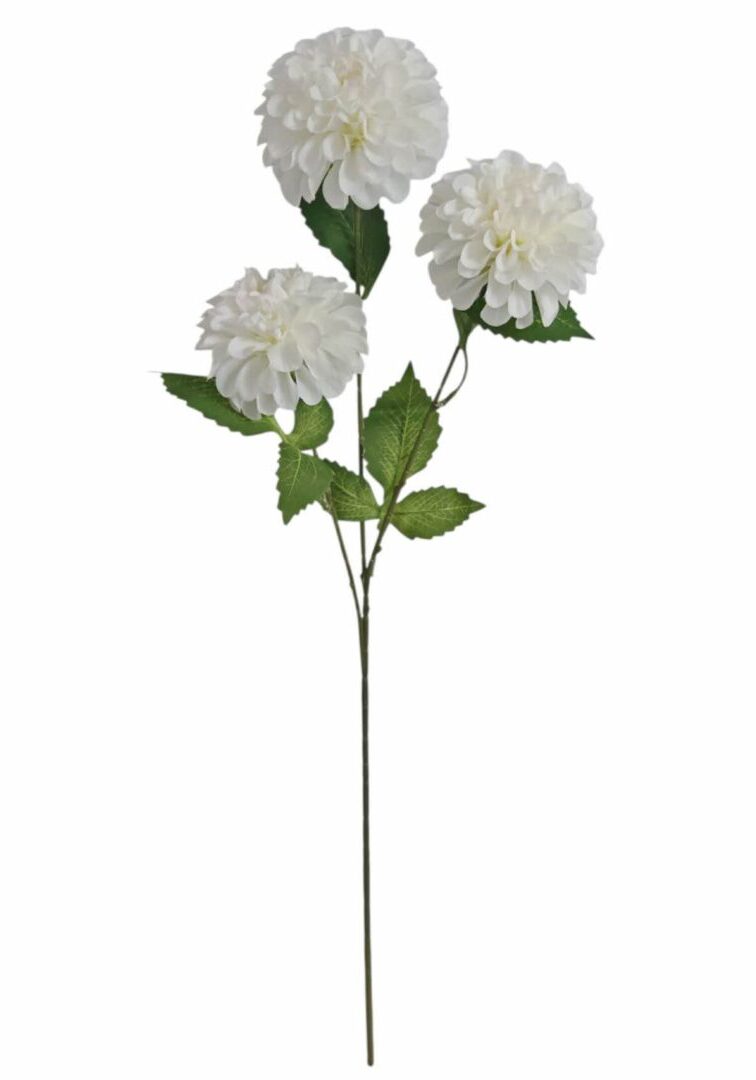 Image_20260420224616_884_90