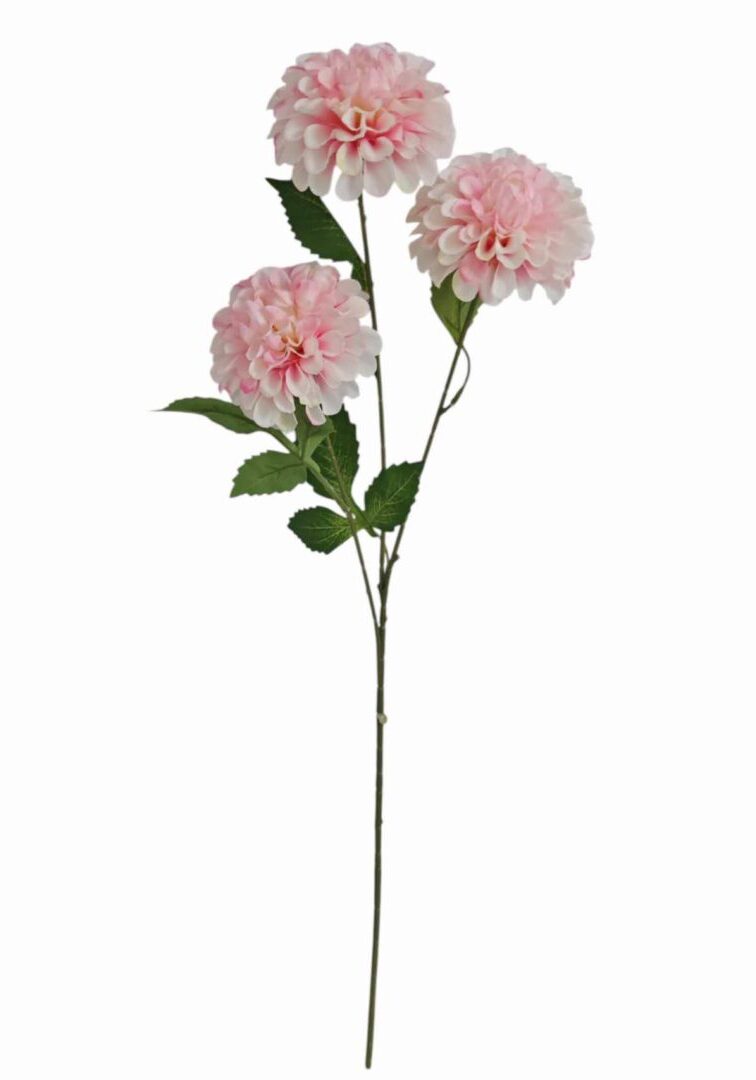 Image_20260420224617_885_90