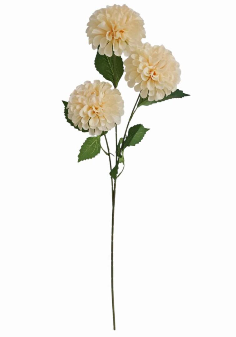 Image_20260420224618_886_90