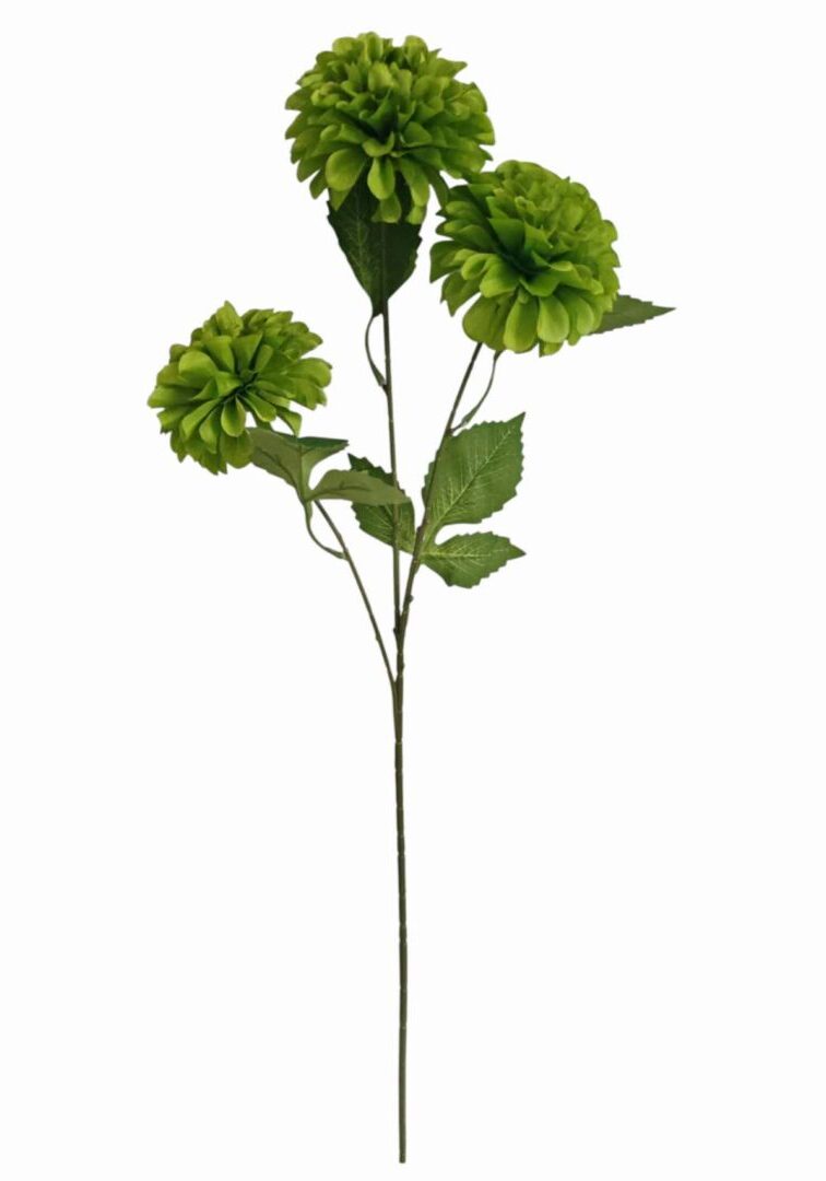 Image_20260420224618_887_90