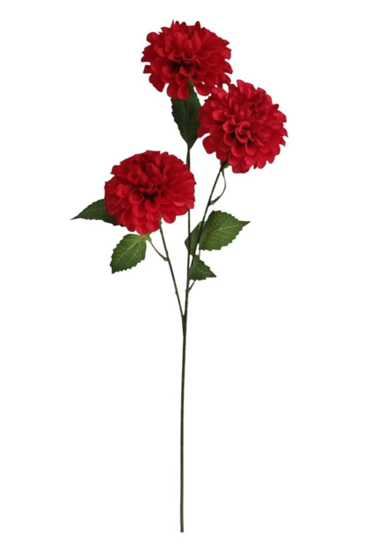 Image_20260420224619_888_90