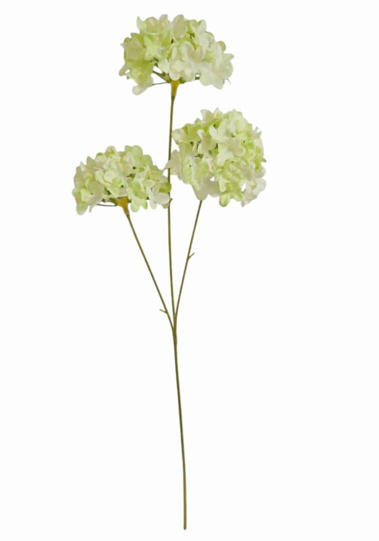 Image_20260421183755_891_90