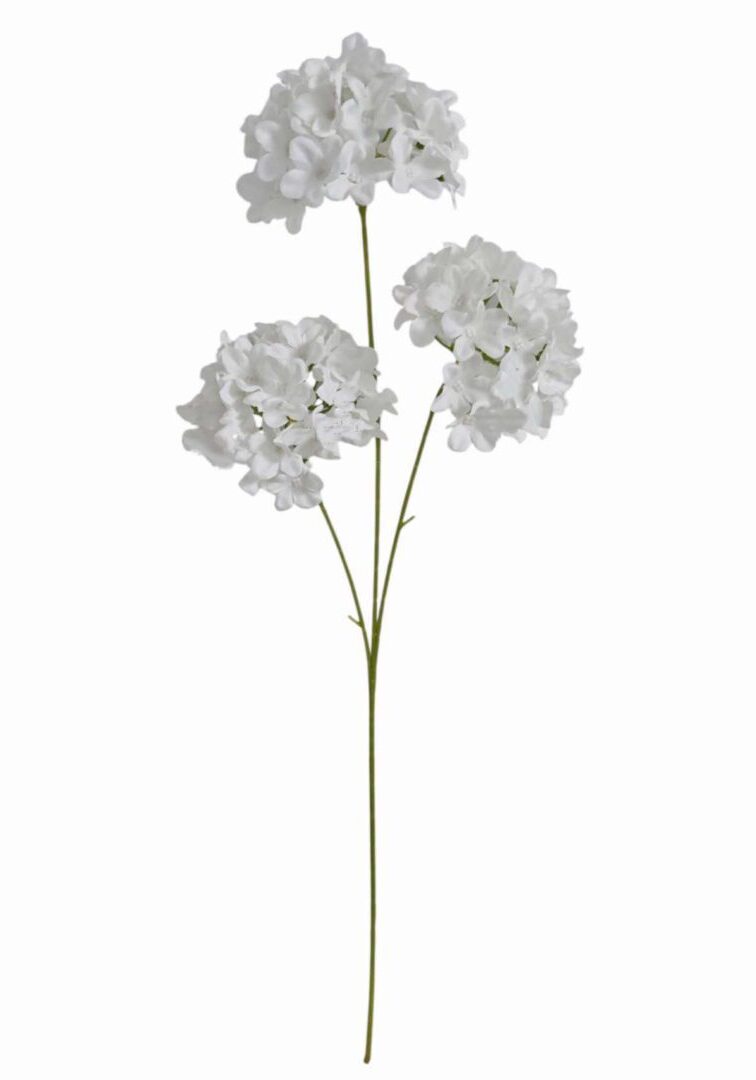 Image_20260421183756_892_90