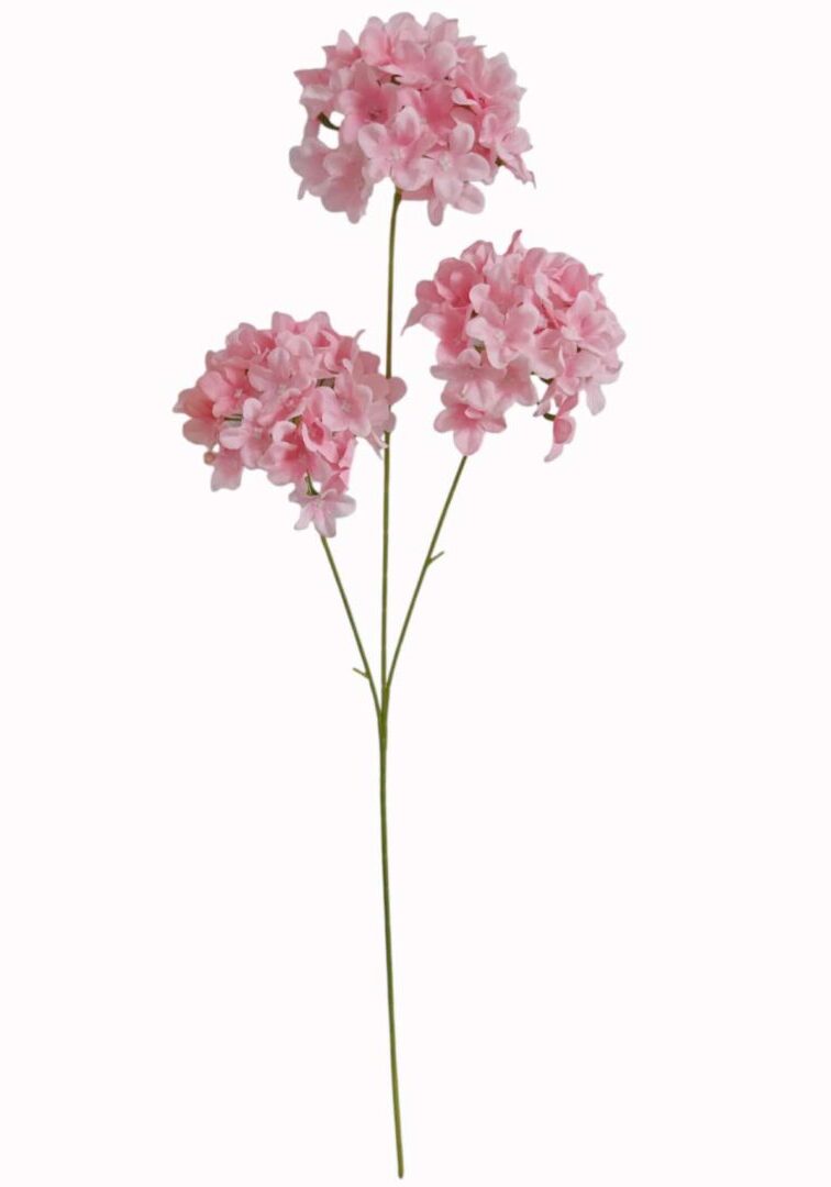 Image_20260421183757_893_90