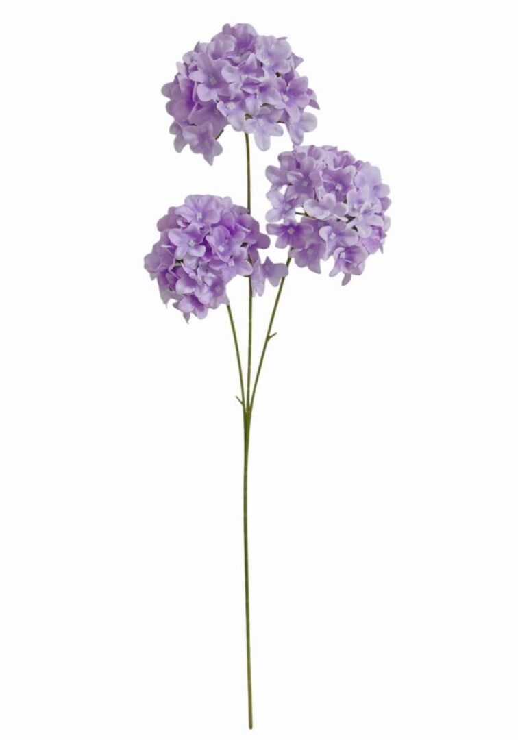 Image_20260421183757_894_90