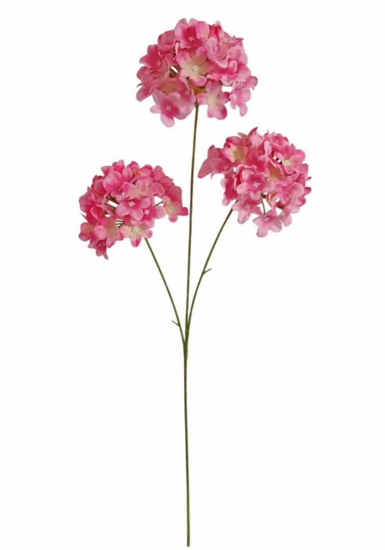 Image_20260421183758_895_90