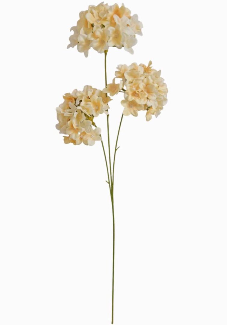 Image_20260421183759_896_90