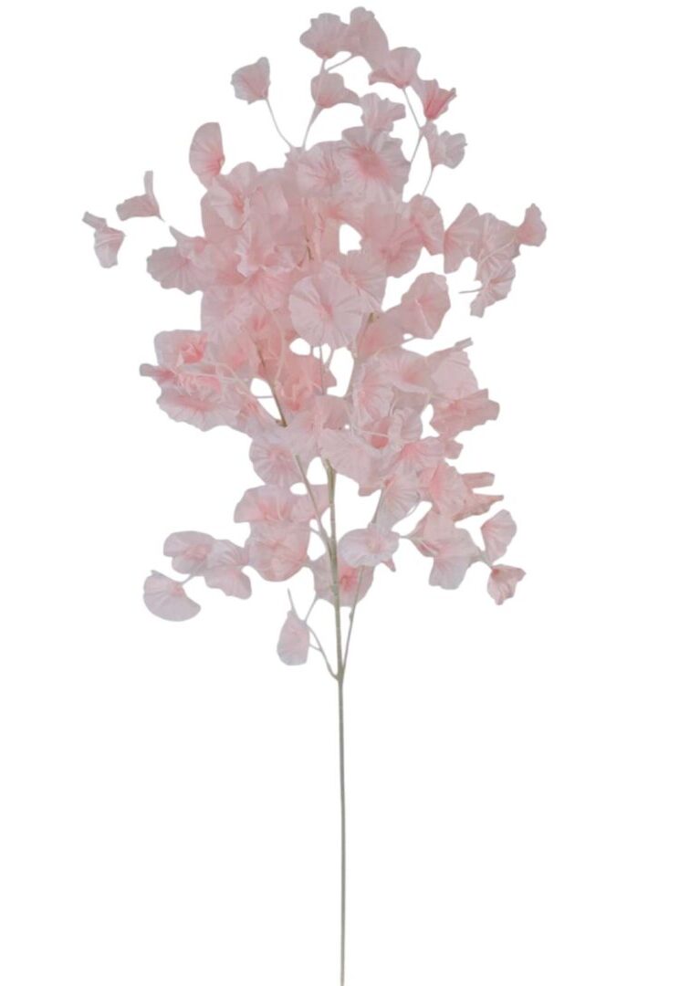 Image_20260421212846_898_90