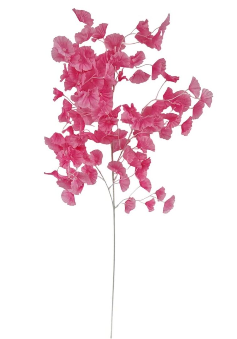 Image_20260421212847_899_90