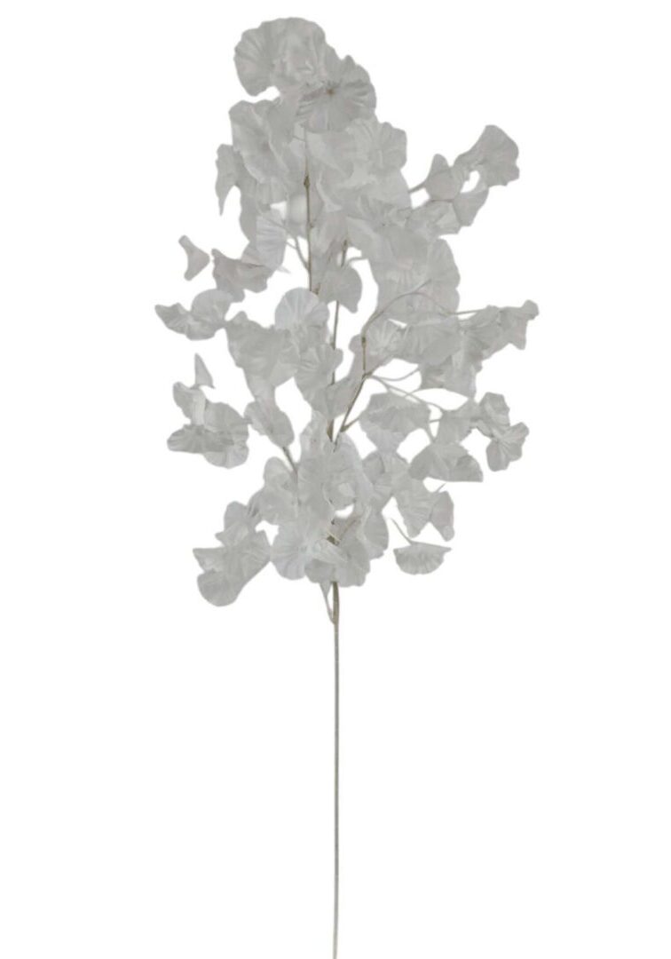 Image_20260421212848_901_90