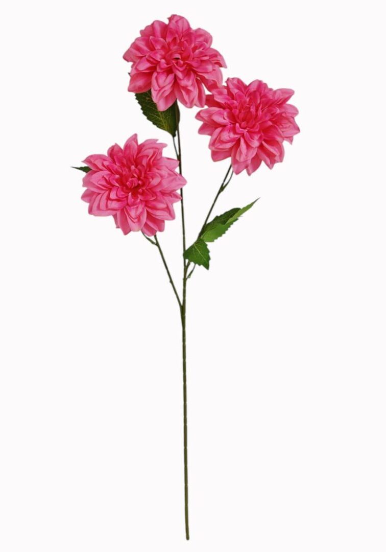 Image_20260421212849_902_90