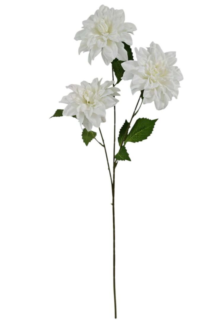 Image_20260421212850_903_90