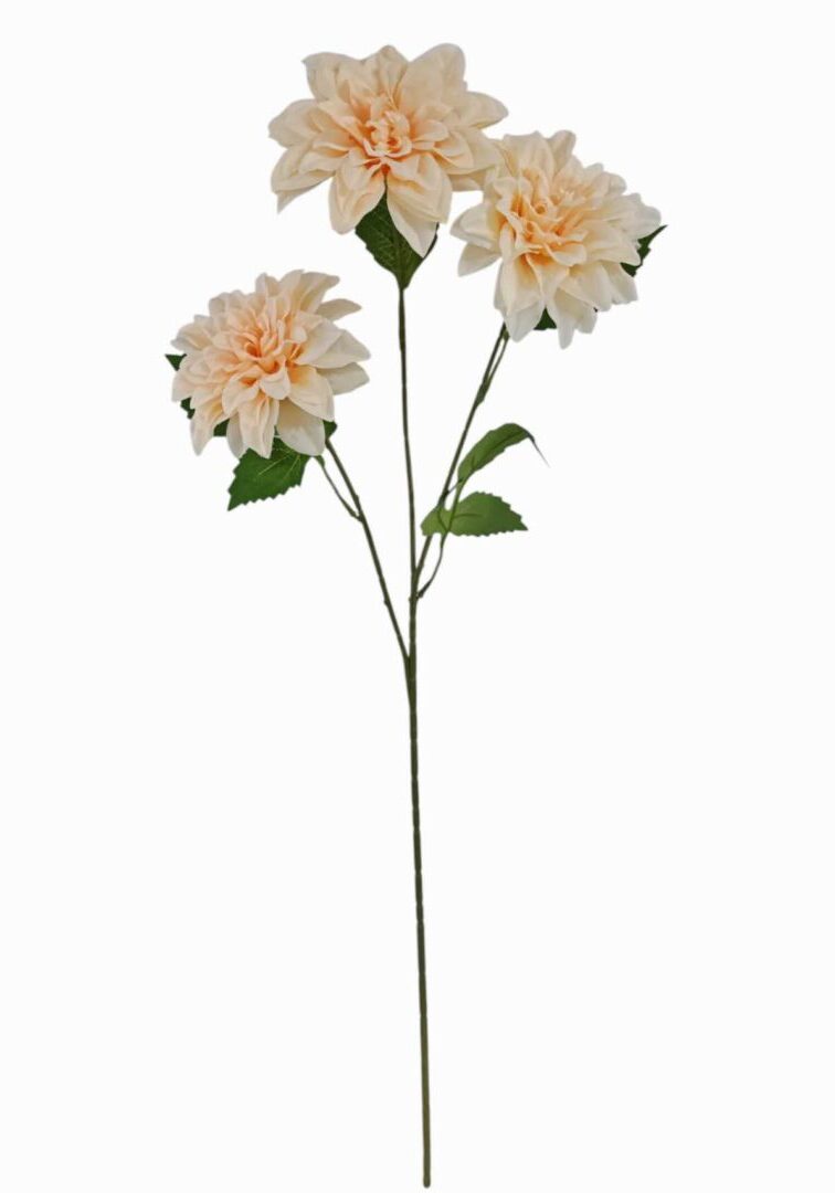 Image_20260421212851_905_90