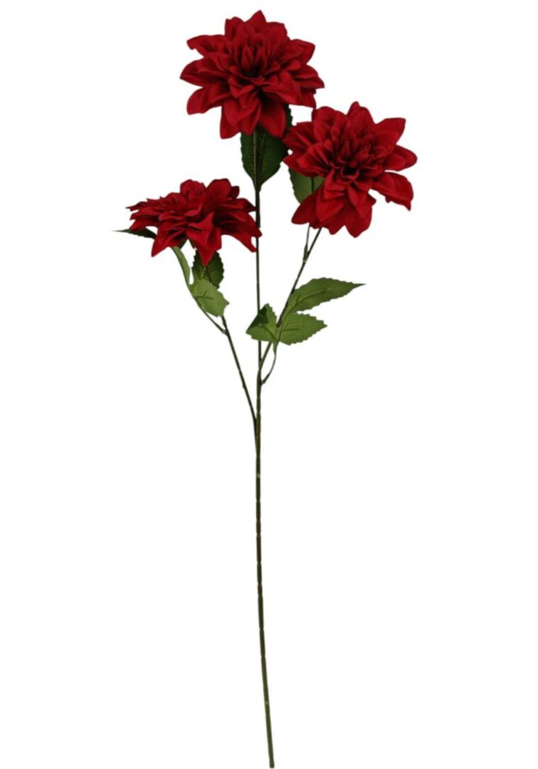 Image_20260421212852_907_90