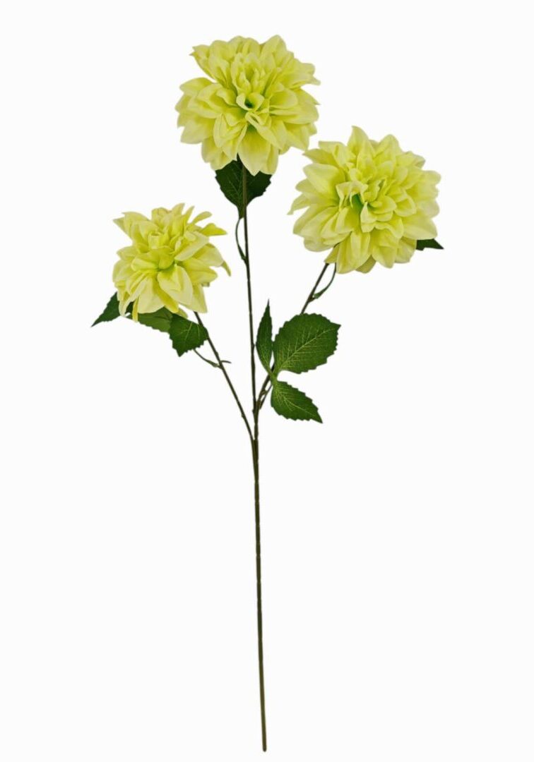 Image_20260421212853_908_90