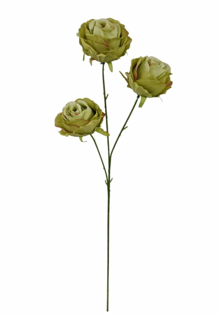 Image_20260421212854_910_90