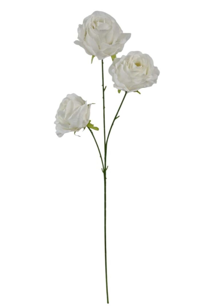 Image_20260421212856_912_90