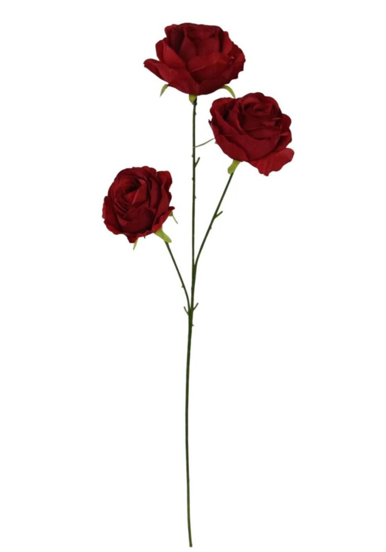 Image_20260421212857_914_90